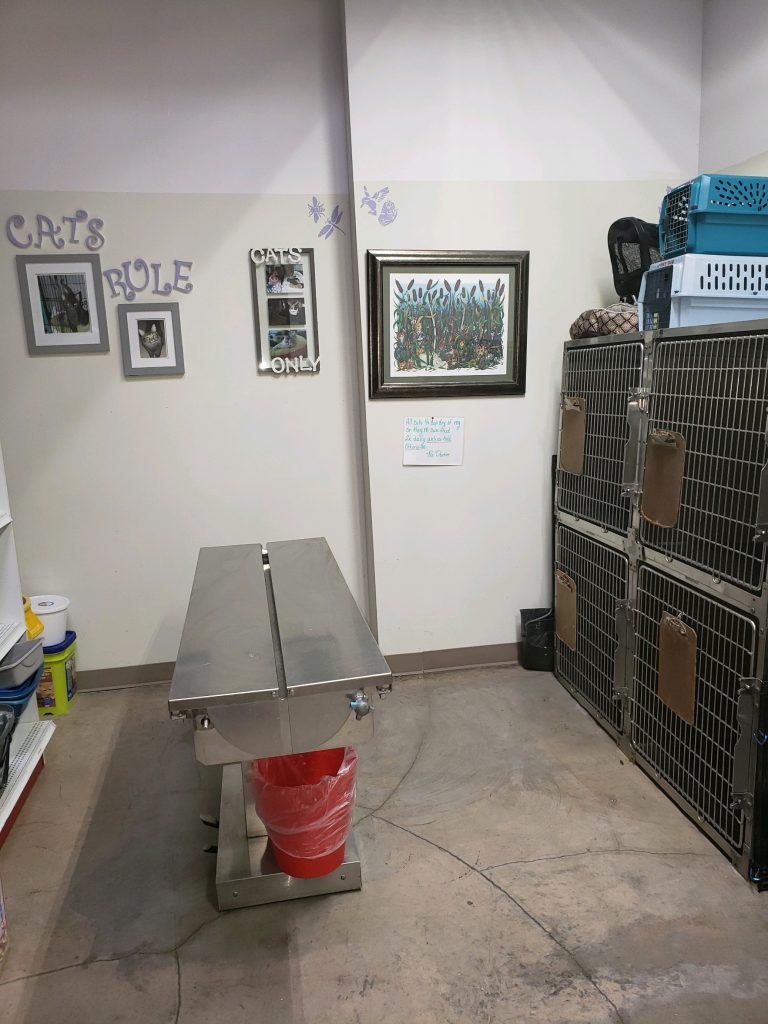 Pet Boarding in Fort Worth, TX Family PetCare